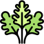 Parsley icon 64x64
