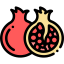 Pomegranate icon 64x64