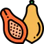 Papaya icon 64x64