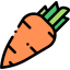 Carrot icon 64x64