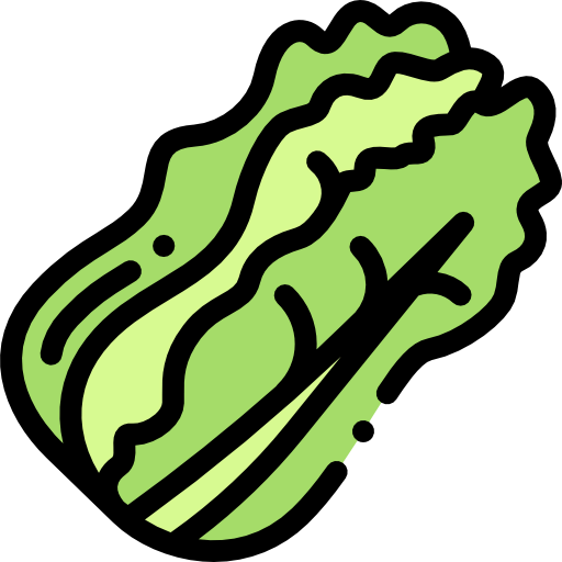 Cabbage icon