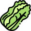 Cabbage Ikona 64x64