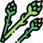 Asparagus icon 64x64