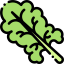 Lettuce icon 64x64