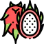 Pitaya icon 64x64