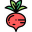 Radishes icon 64x64