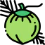 Coconut icon 64x64