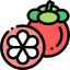 Mangosteen icon 64x64
