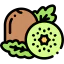 Kiwi icon 64x64