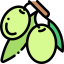 Olives icon 64x64