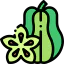 Carambola icon 64x64