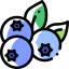 Blueberries icon 64x64