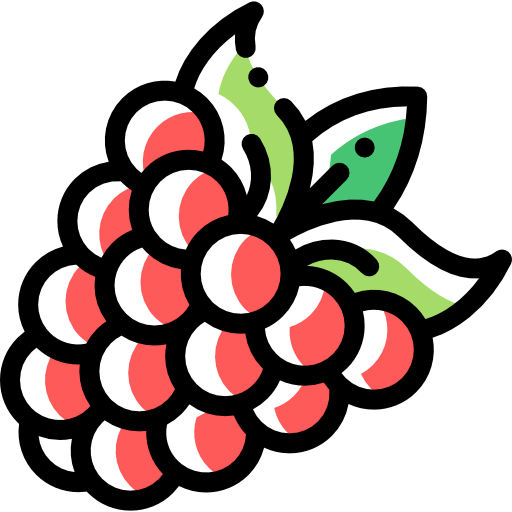 Raspberry icon