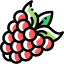 Raspberry 상 64x64