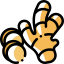 Ginger icon 64x64