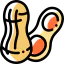 Peanut icon 64x64