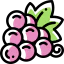 Grapes icon 64x64