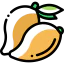 Mango icon 64x64