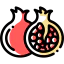 Pomegranate icon 64x64