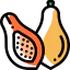 Papaya icon 64x64