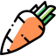 Carrot icon 64x64