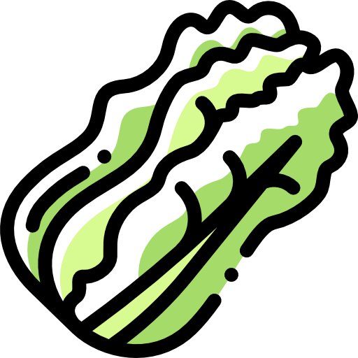 Cabbage icon