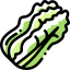 Cabbage Ikona 64x64