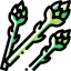 Asparagus icon 64x64