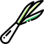 Spring onion ícono 64x64
