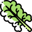 Lettuce icon 64x64