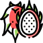 Pitaya icon 64x64
