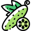 Cucumber icon 64x64