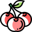Cherry icon 64x64