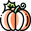 Pumpkin icon 64x64