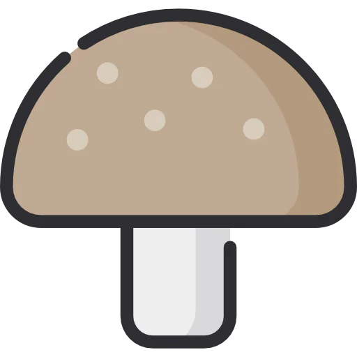 Stores icon