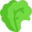 Salad icon 64x64