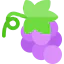 Grape icon 64x64
