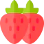 Strawberry icon 64x64