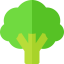 Broccoli icon 64x64