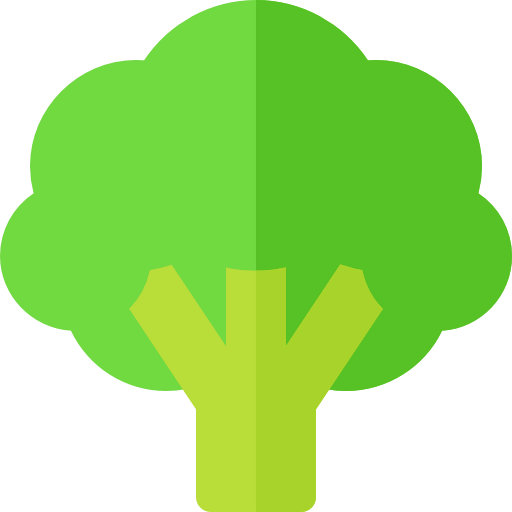 Broccoli icon