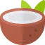 Coconut icon 64x64