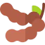 Tamarind icon 64x64