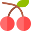 Cherry icon 64x64