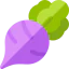 Radish icon 64x64
