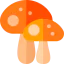 Mushroom icon 64x64