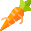 Carrot icon 64x64