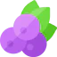 Blueberry icon 64x64
