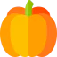 Pumpkin icon 64x64