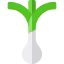 Spring onion ícono 64x64
