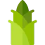 Bamboo icon 64x64